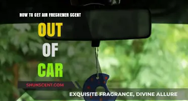 Effective Ways to Remove Lingering Air Freshener Smells from Your Car