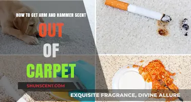 Effective Ways to Remove Arm & Hammer Scent from Your Carpet