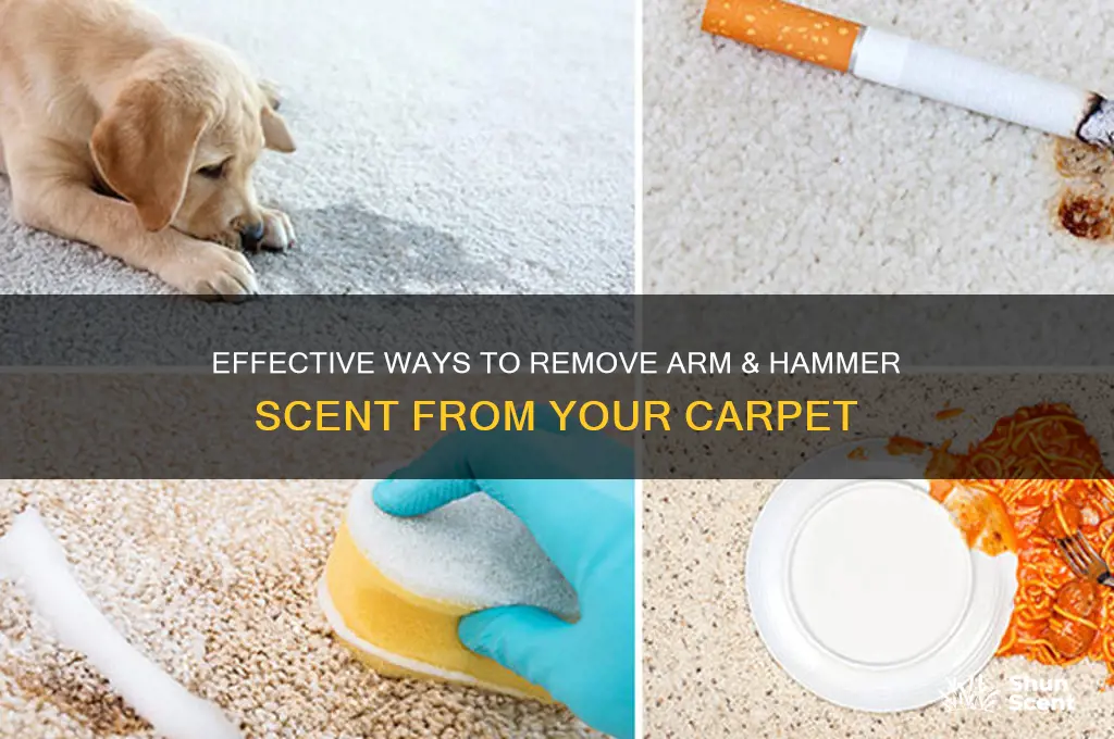 how to get arm and hammer scent out of carpet