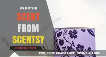 Maximize Your Scentsy Experience: Tips for the Perfect Scent Throw