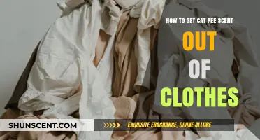 Effective Ways to Remove Cat Urine Smell from Your Clothes