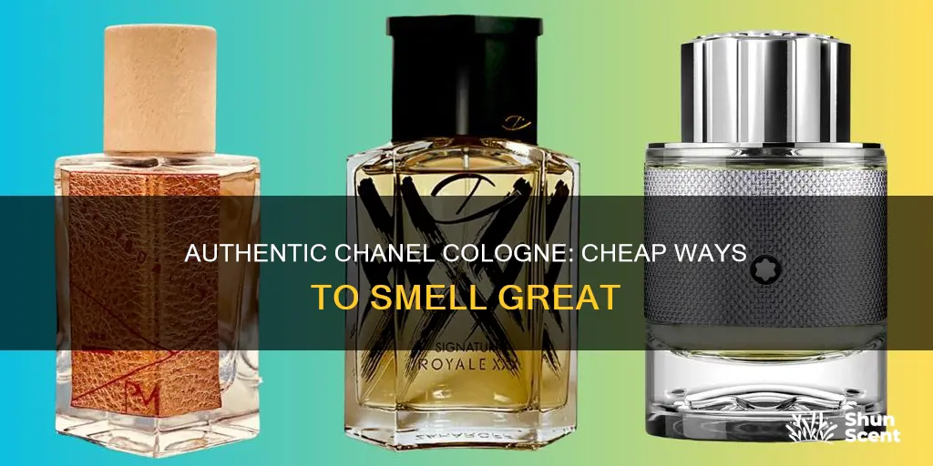 how to get cheap authentic chanel cologne