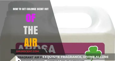 Effective Ways to Eliminate Lingering Cologne Odor from Your Air