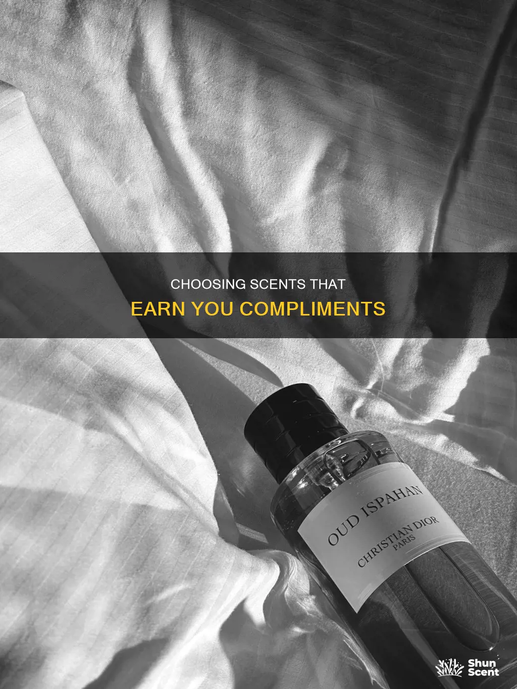 how to get compliments on fragrances