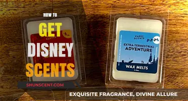 Recreate Disney Magic: How to Bring Home Iconic Park Scents