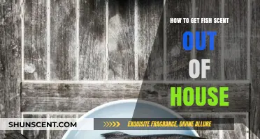 Eliminate Lingering Fish Odor: Effective Tips to Freshen Your Home