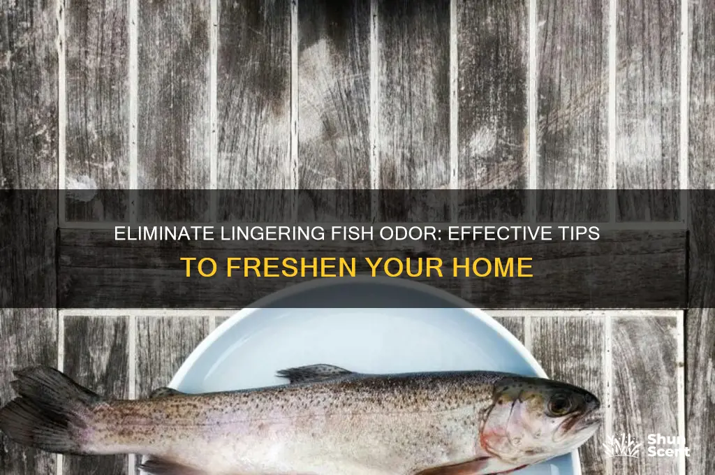how to get fish scent out of house