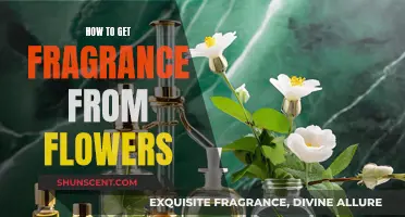 Capturing Fragrance: A Guide to Extracting Essence from Flowers