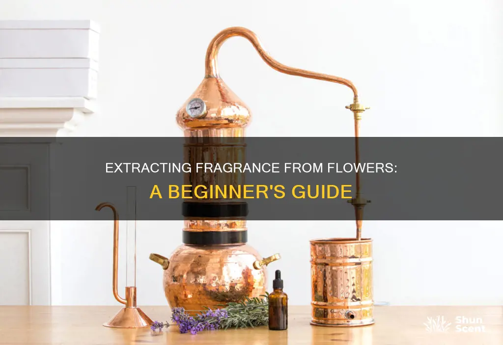how to get fragrance from flowers