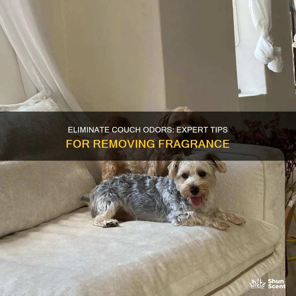 how to get fragrance out of couch