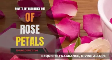 Rose Petals: Removing Fragrance Without Damaging the Flowers