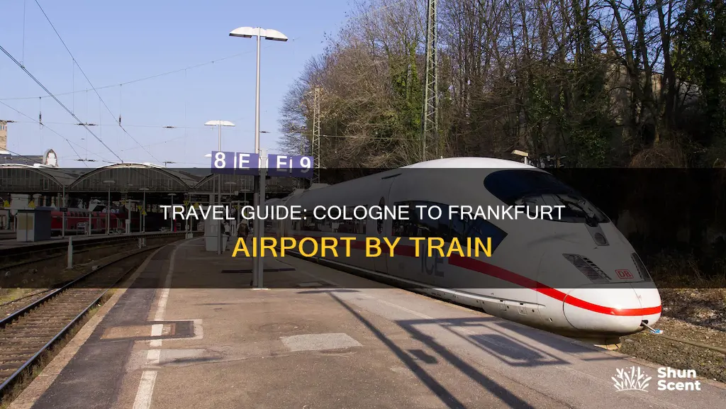 how to get from cologne to frankfurt airport by train