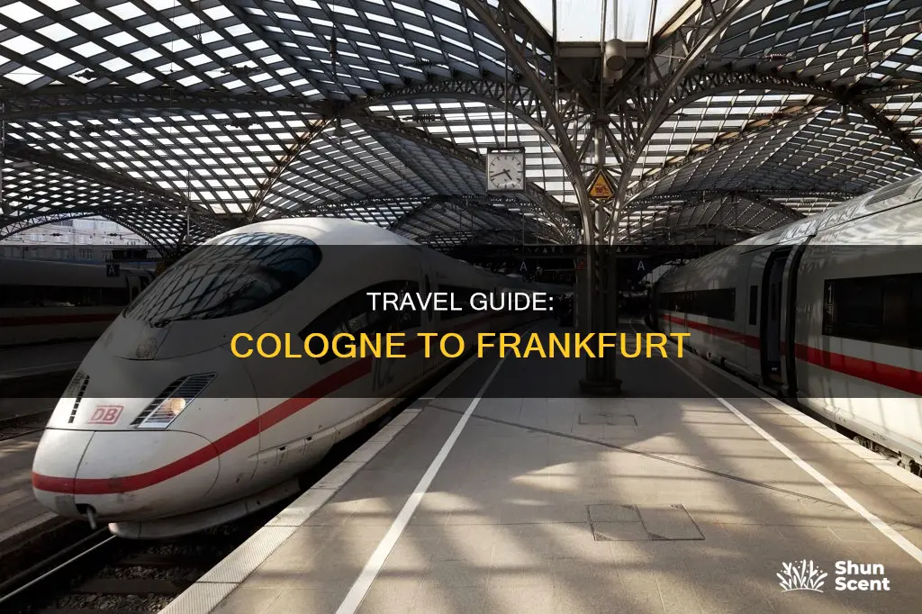 how to get from cologne to frankfurt