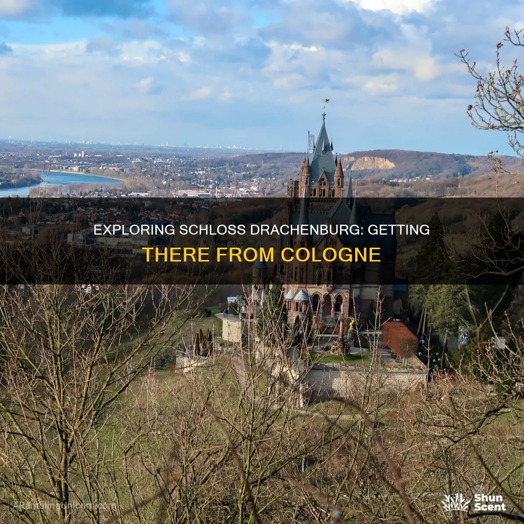 how to get from cologne to schloss drachenburg castle