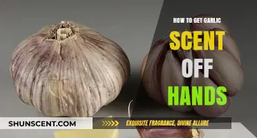 Quick Fixes: Removing Garlic Smell from Hands Easily and Effectively