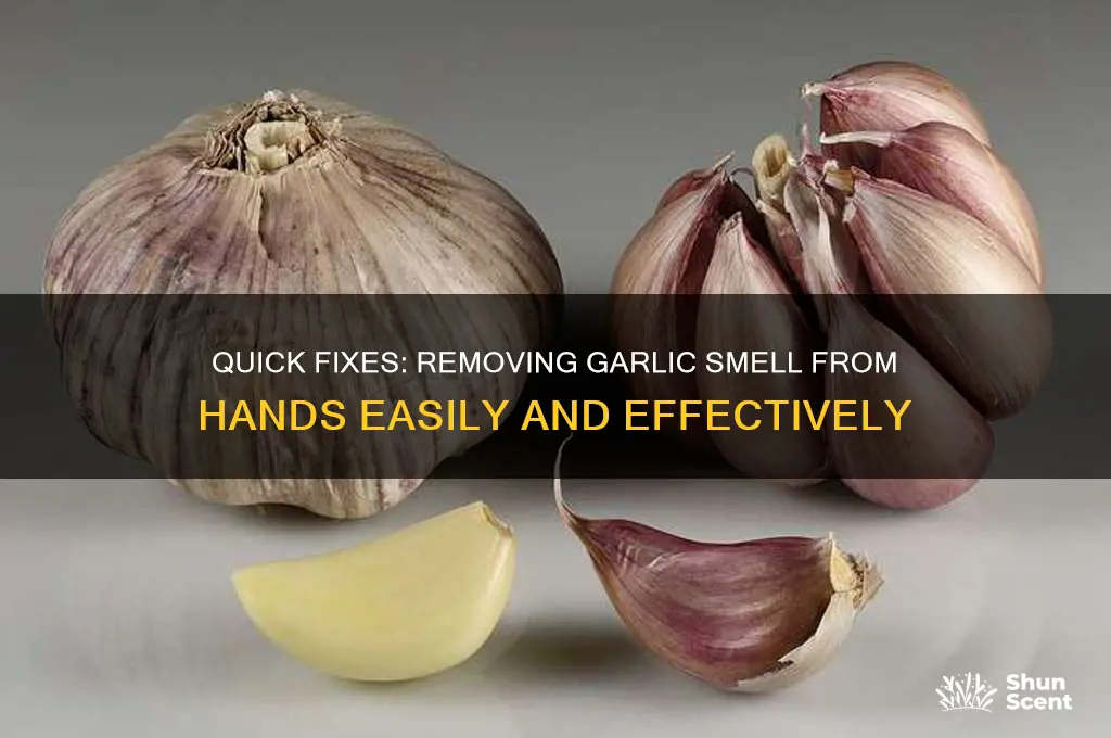 how to get garlic scent off hands