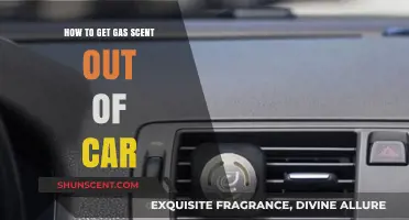 Effective Ways to Eliminate Gas Smell from Your Car Interior