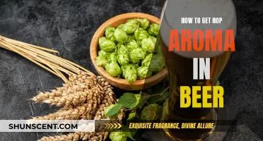 Enhancing Beer's Hop Aroma: Tips and Techniques