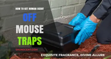 Effective Tips to Remove Human Scent from Mouse Traps for Better Results