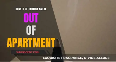 Incense Smell Removal: Freshen Your Apartment Easily