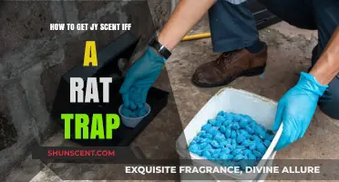 Effective Tips to Get Rid of Rat Trap Odor Quickly and Easily
