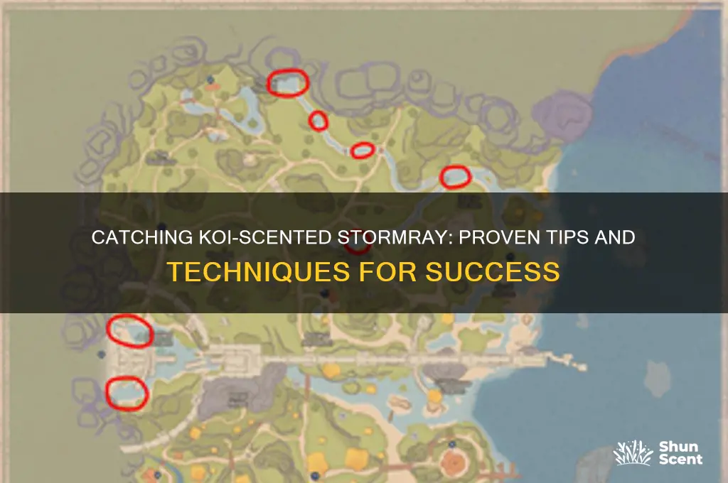 how to get koi-scented stormray