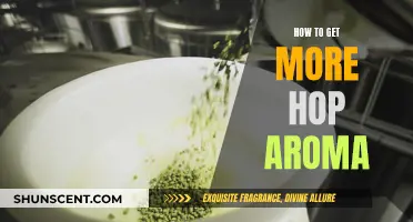 Enhancing Beer's Hop Aroma: Tips and Tricks