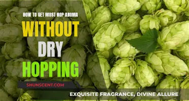 Unlocking Hop Aroma Secrets: Dry Hop Alternatives