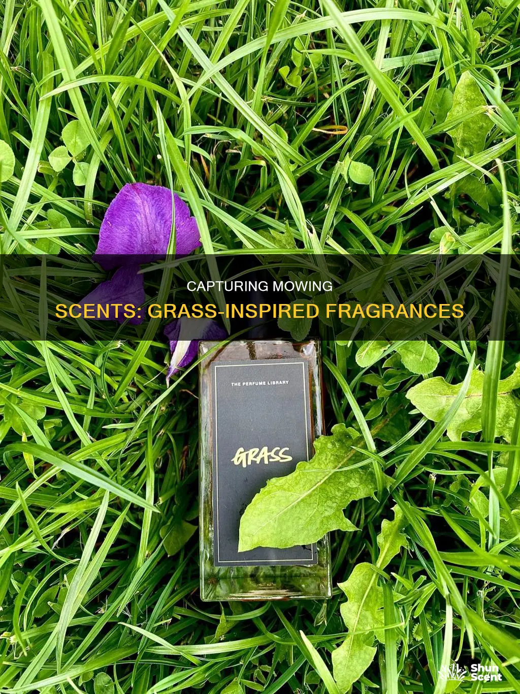 how to get mowed grass scent cologne