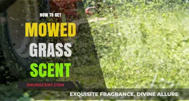 Capture the Fresh Mowed Grass Scent: Simple Tips and Tricks