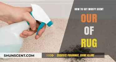 Eliminate Musty Smells: Effective Tips to Freshen Your Rug Fast