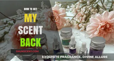 Reclaiming Your Scent: A Guide to Restoring Your Lost Fragrance
