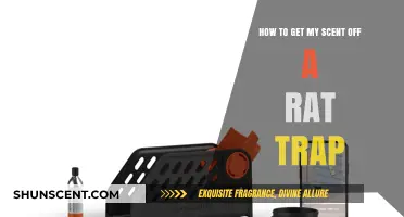 Effective Tips to Remove Your Scent from Rat Traps for Better Results