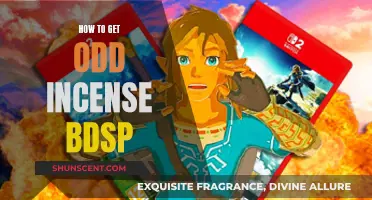 Where to Find Odd Incense in Pokémon BDSP