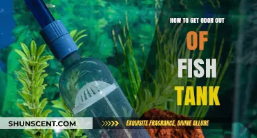 Freshen Up Your Aquarium: A Guide to Eliminating Fish Tank Odors