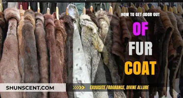 Freshen Up Your Fur: A Guide to Odor Removal