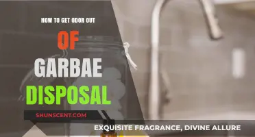 Freshen Up Your Kitchen: Effective Tips to Eliminate Garbage Disposal Odor