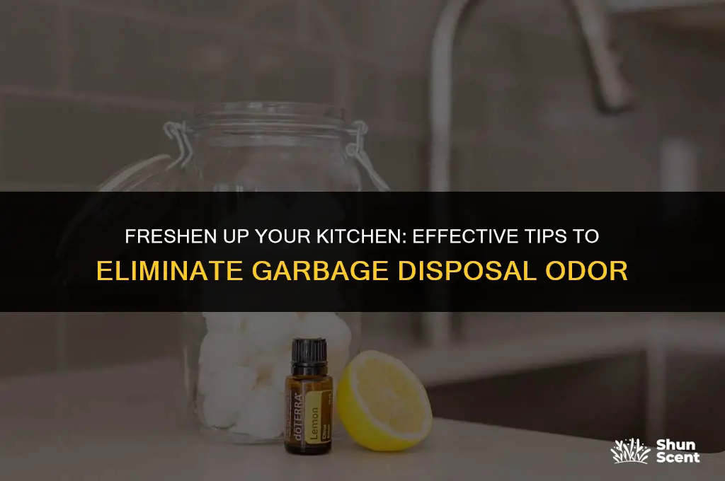 how to get odor out of garbae disposal
