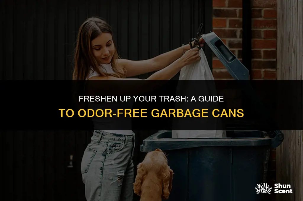 how to get odor out of garbage can