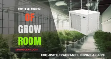 Effective Strategies to Eliminate Odors in Your Grow Room