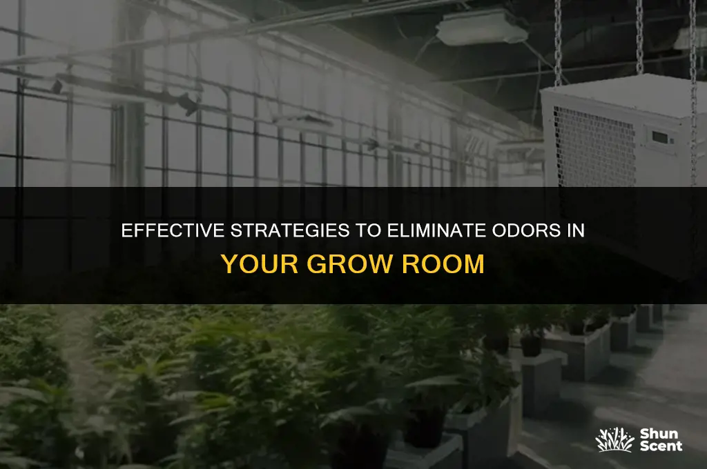 how to get odor out of grow room