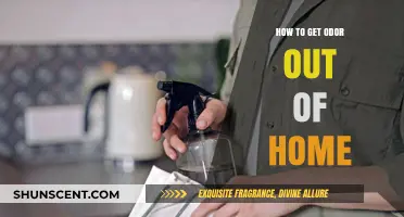 Freshen Up Your Home: Effective Tips to Eliminate Odors