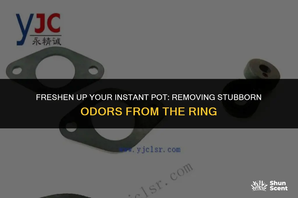 how to get odor out of instant pot ring