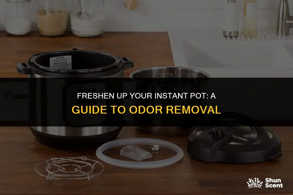 how to get odor out of instant pot