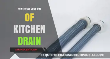 Freshen Up Your Kitchen Drain: A Guide to Odor Elimination