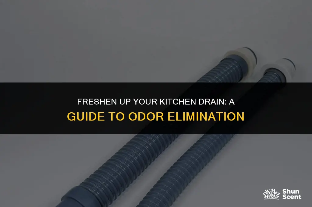 how to get odor out of kitchen drain