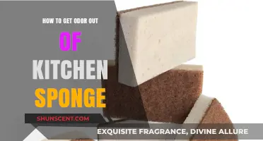 Freshen Up Your Kitchen Sponge: A Simple Guide to Eliminating Odors