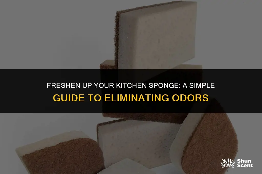 how to get odor out of kitchen sponge