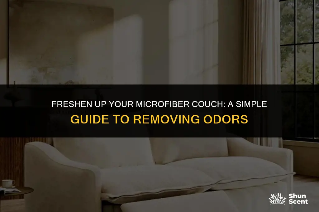 how to get odor out of microfiber couch