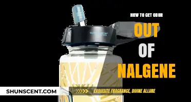 Freshen Up Your Nalgene: A Guide to Odor Removal